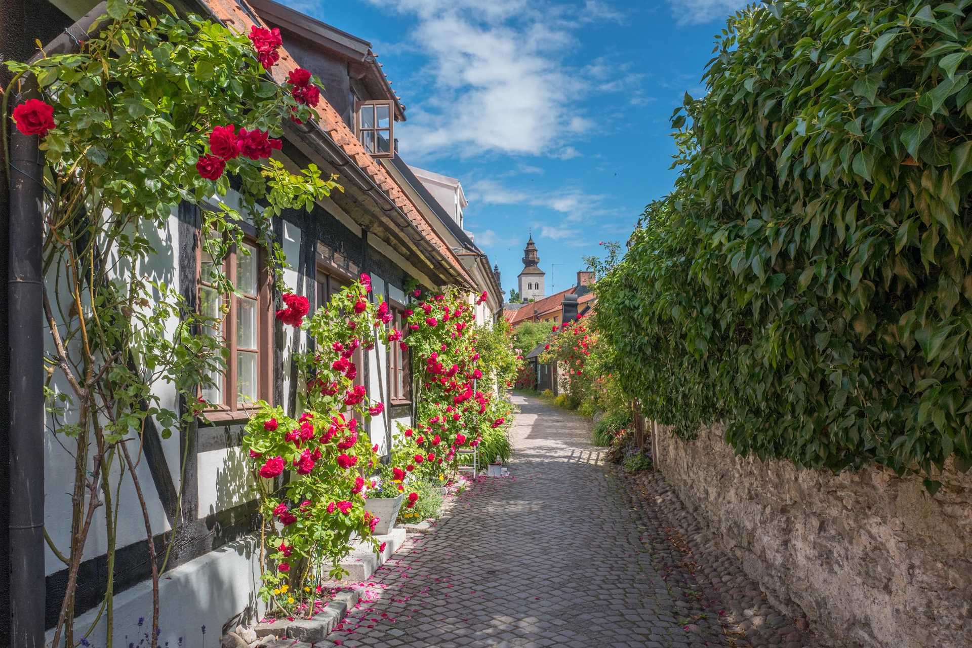 Visby on Gotland Island.jpg