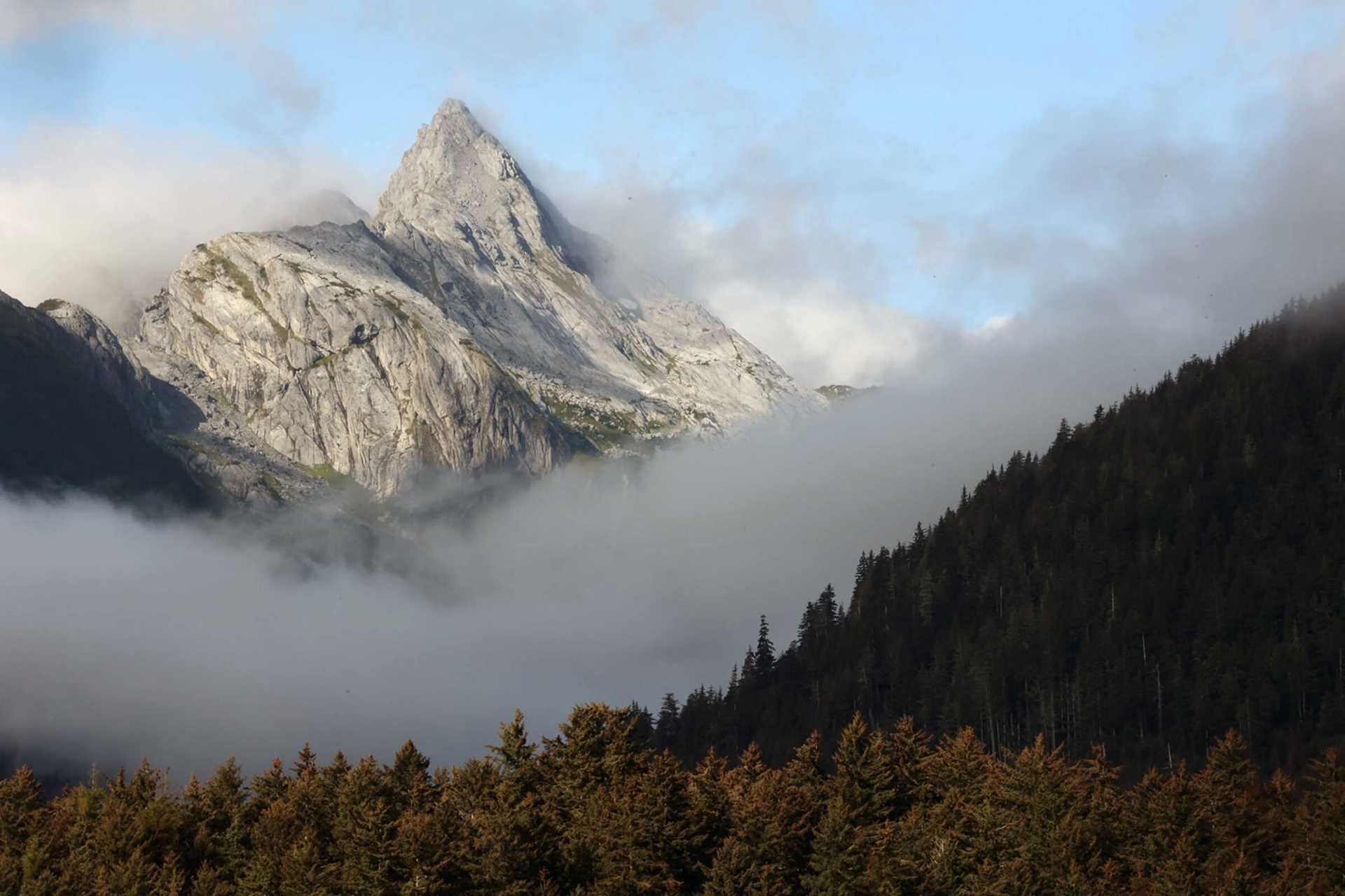 mountains covered in mist