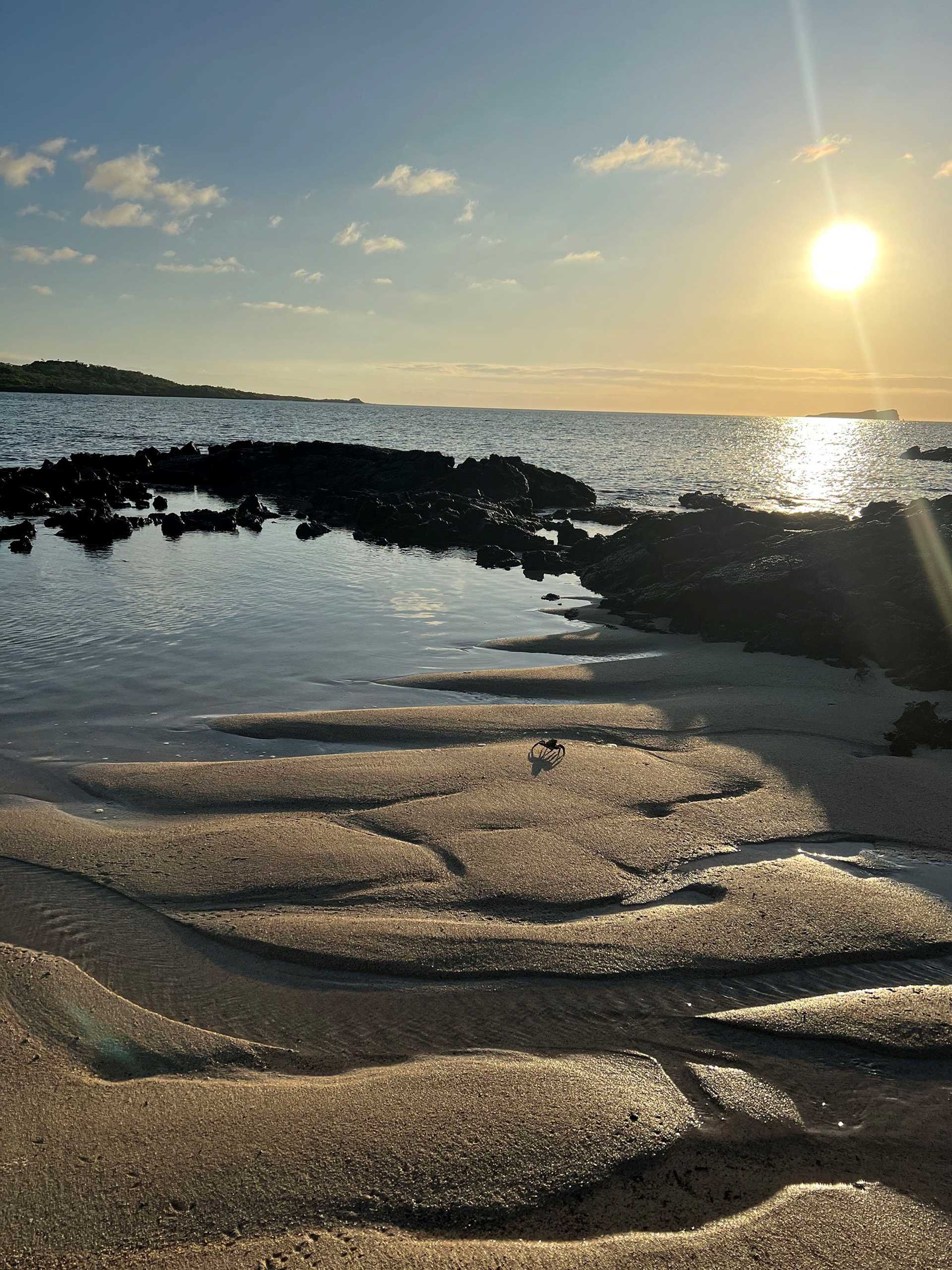 marshy beach at sunset